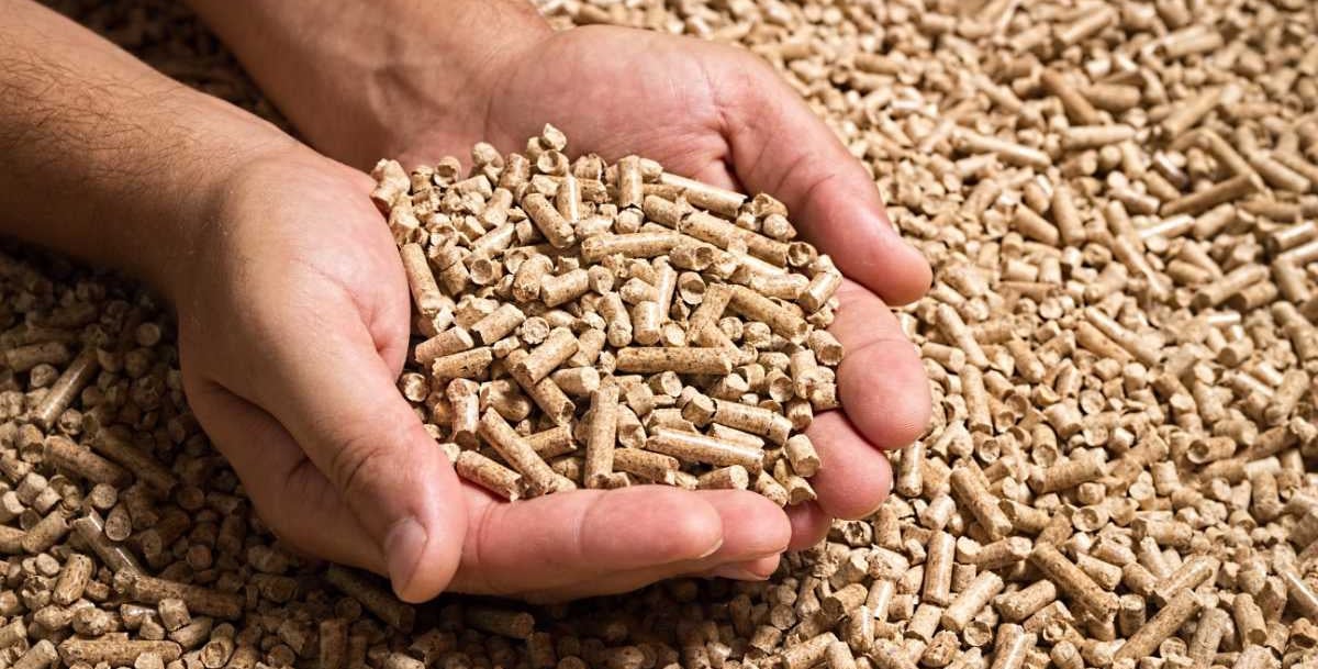 Person hält Pellets in Hand