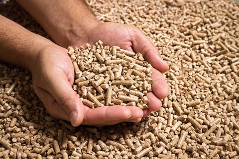 Holzpellets: Die komprimierte Form der Holzenergie