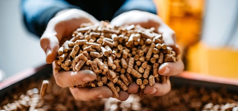 Nahaufnahme von zwei Händen voll mit Pellets